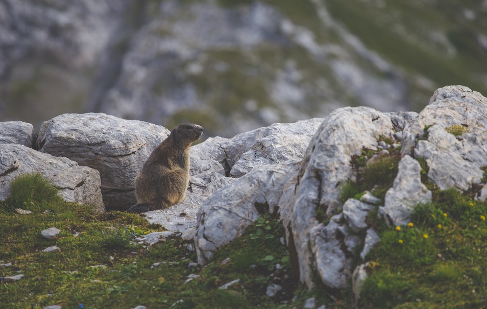 Groundhog Day: Will this Winter Ever End?